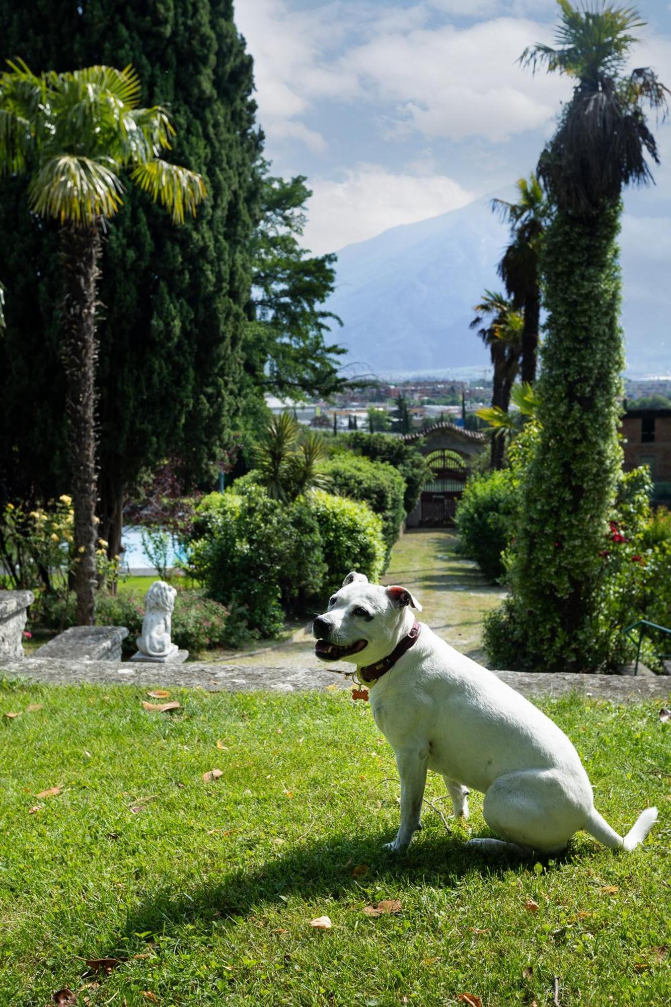 Villa Angelica Riva del Garda Ngoại thất bức ảnh