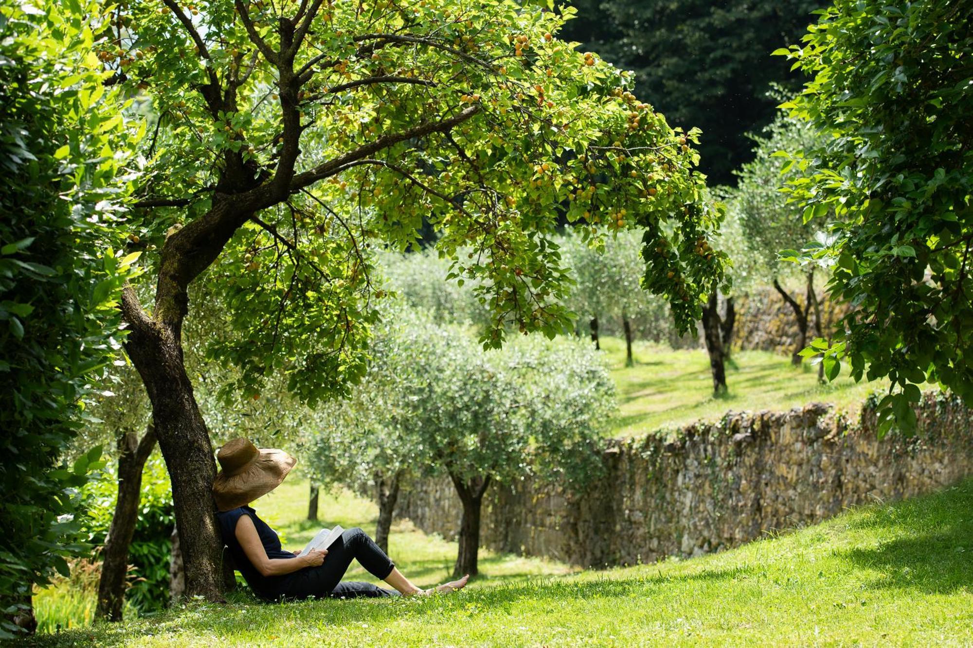 Villa Angelica Riva del Garda Ngoại thất bức ảnh